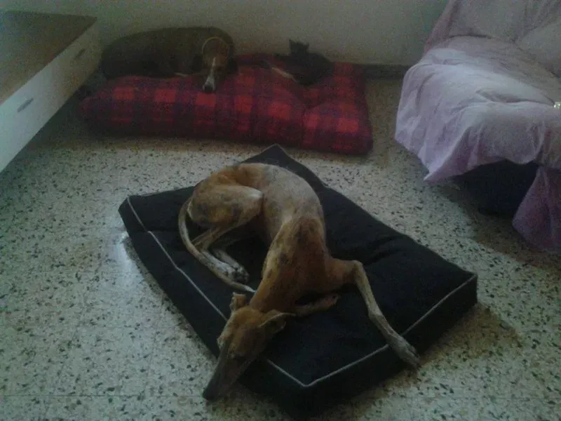 1505381 775562329194291 5036145246998743768 n