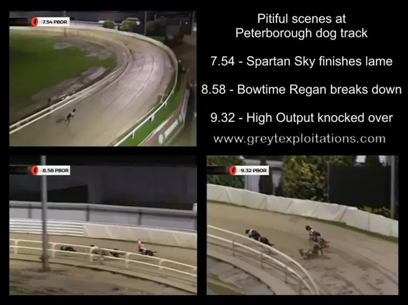 1505509 658914734161695 1728585690 n