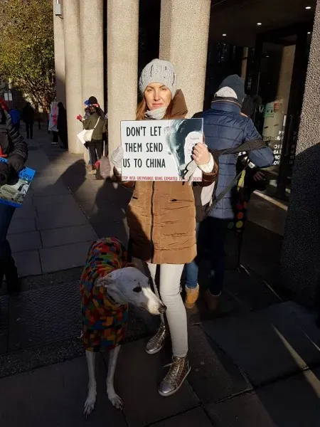 15055879 1486228971392754 7926267196542246380 n