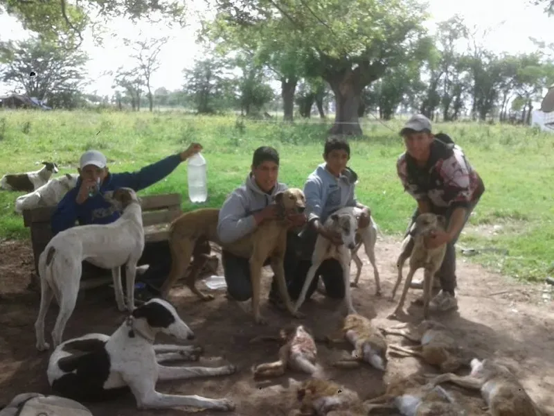 15056305 202064136911670 1267627321466658525 n