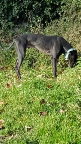 15057993 10209854933183563 1104872307 n