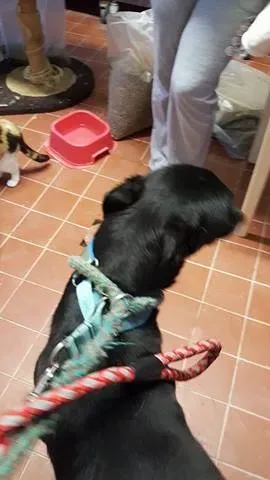 15058014 10209794904242877 813169377 n