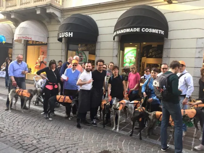 1506582 811873885563135 1793123303855947161 n