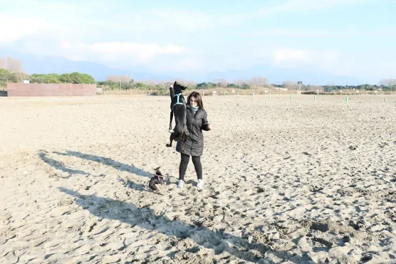 1506619 577113065790550 133369275301973898 n