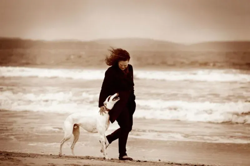 15067 1438226426410901 1506576955 n