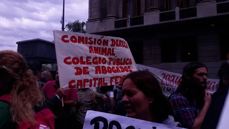 15068278 10211399344043453 7174491579519885294 o