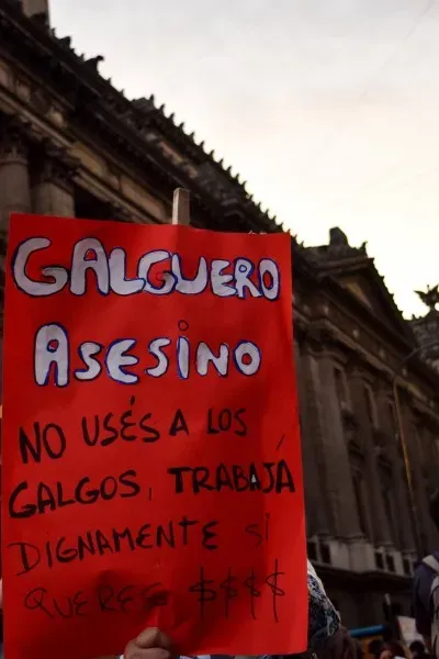 15068403 705331806284268 8640513596697906959 o