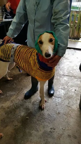 15069006 1180232758727244 5515730830316010802 o