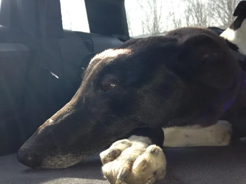 1506979 759014407449949 1301681005 n