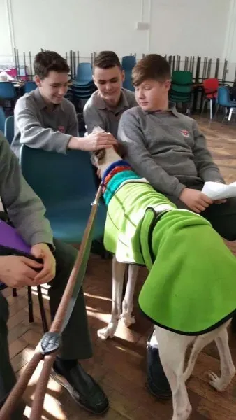 15078649 1180480322035821 334800768002560282 n