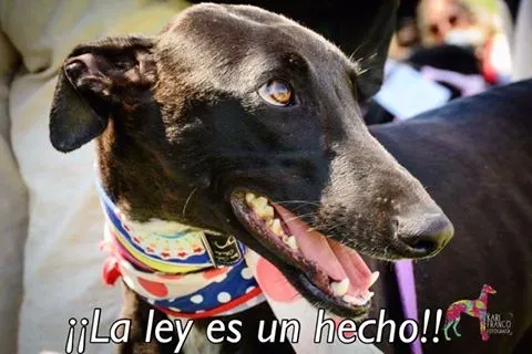 15078699 1150424568340508 3794705434918915038 n