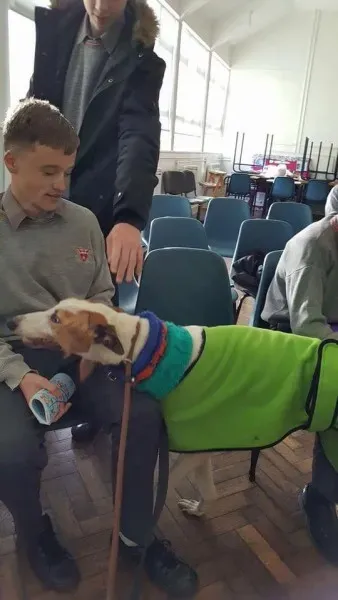 15085626 1180480355369151 3636827684294008592 n