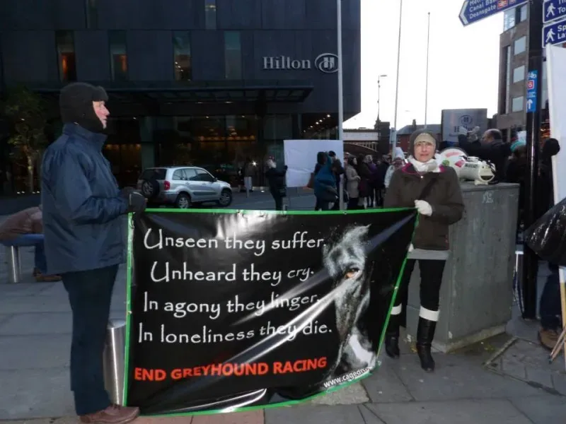 1509181 550560625052077 1541313649 n