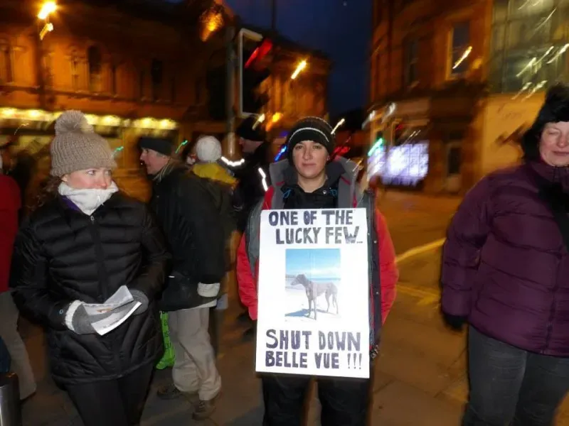 1509248 550569798384493 875444537 n