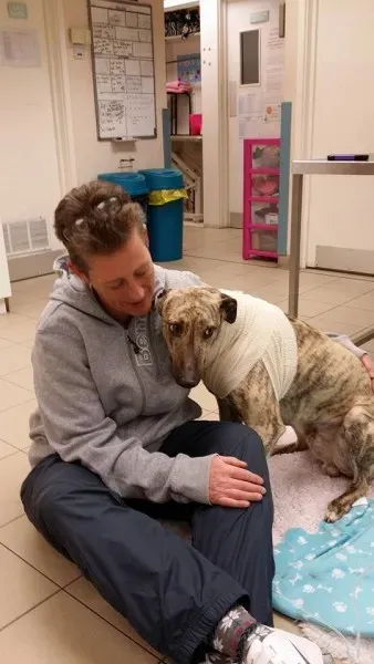 1509260 10153208666224271 5228328368502011863 n