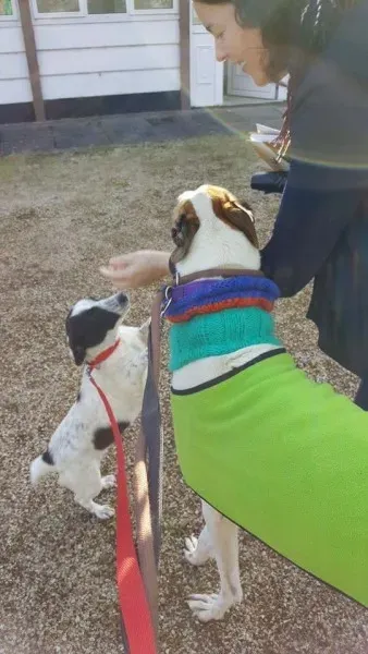 15094352 1180480512035802 921433083630703856 n