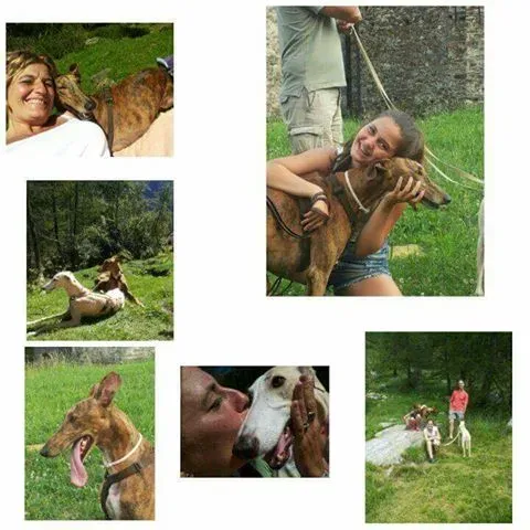 15094923 10210009091777657 5821913570929981145 n