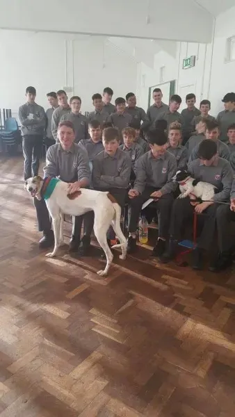 15094973 1180480278702492 7733906564778859509 n