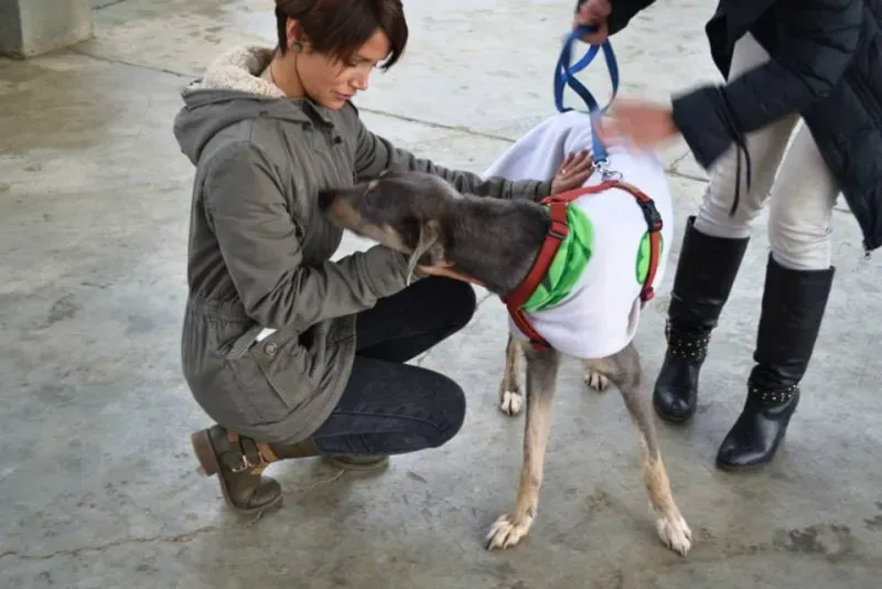 1509980 737242256359632 4388740613713025390 n