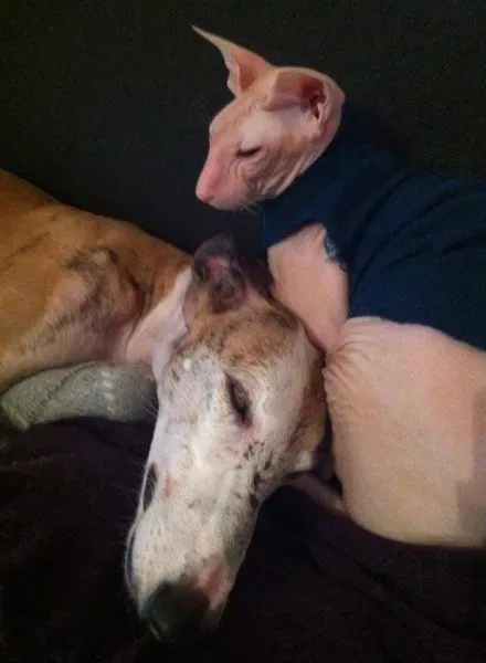 1510520 775562092527648 559394624471015607 n