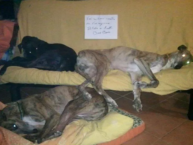 1510553 10202876935393604 257505297 n