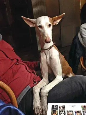 15109588 344665909238914 4750744102010681156 n