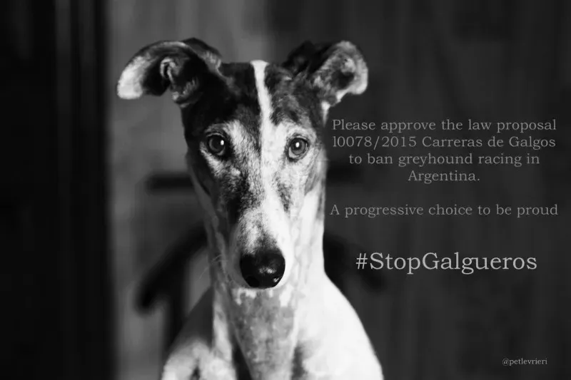 15110444 1191689397589328 3723839134250347554 o