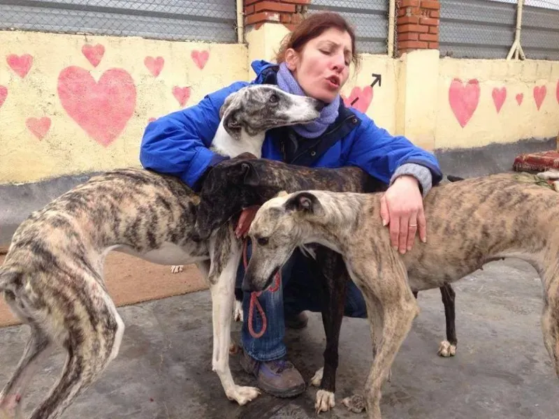 1511236 986366854780503 9122473703619998109 n