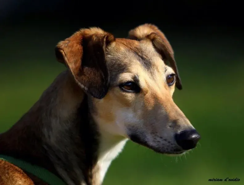 1511362 10209180443172223 6897758445228910542 n