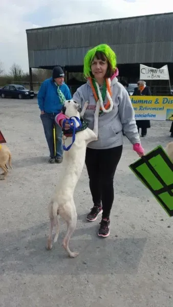 1511392 983426011741254 4401018829052008766 n