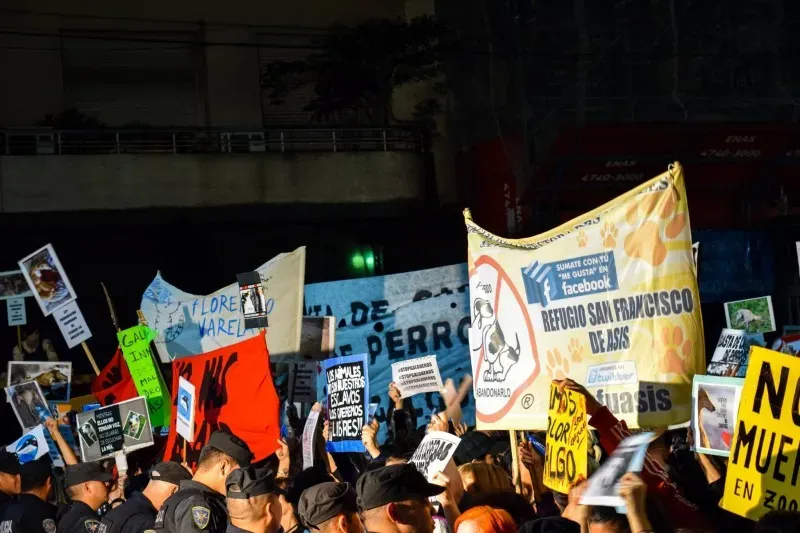 15122895 705331389617643 7928791188068214183 o