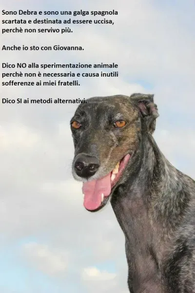 1512432 569855416431651 940593197 n