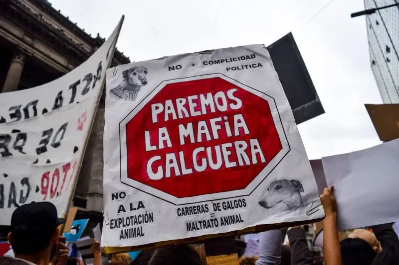 15128888 705330809617701 6453656922977422816 o