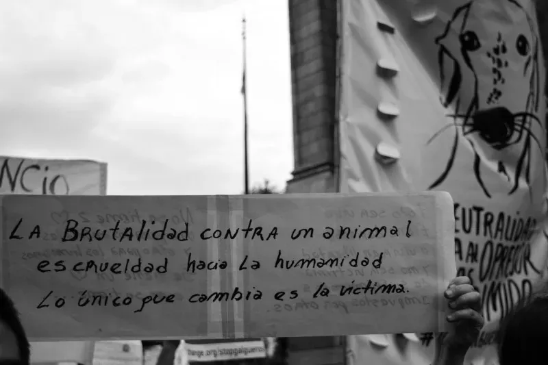 15129093 705332706284178 1130248476230304855 o