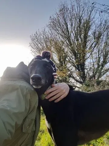 15129874 10209854932263540 1600916843 n