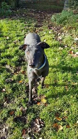 15129992 10209854931263515 1845424791 n