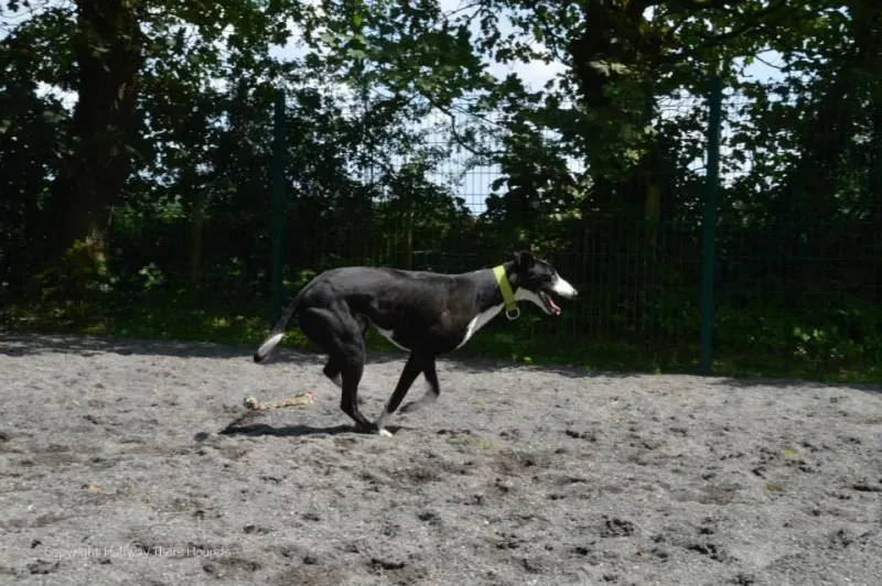 15130 570180873090225 3523672041079808622 n