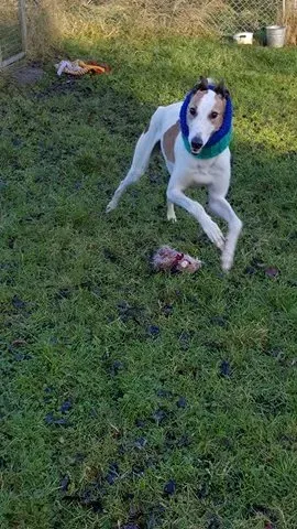 15134266 10209909762754268 359150811 n