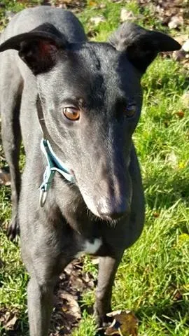 15134394 10209854930543497 818490736 n