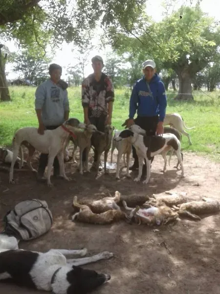 15134579 202064176911666 1320525274663359237 n