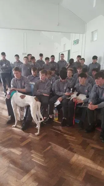 15135869 1180480418702478 5989925611892070626 n