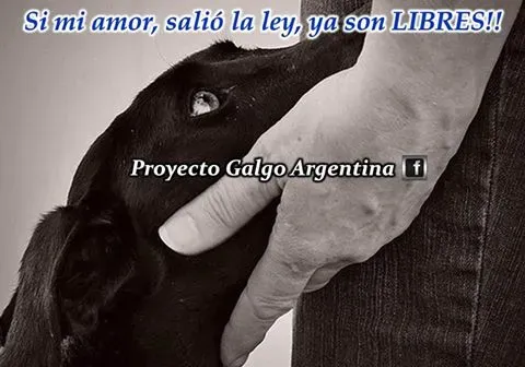 15135933 1275525162508089 1784516396632218314 n