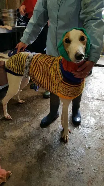 15137452 1180232735393913 7154452763543796480 o