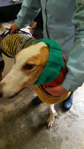 15137594 1180232702060583 6455314326945154343 o