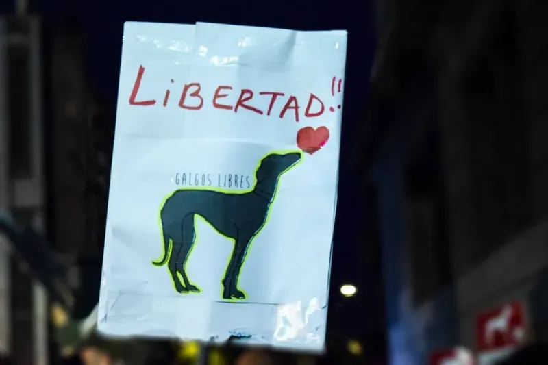 15138403 705330259617756 7080684143258890070 o