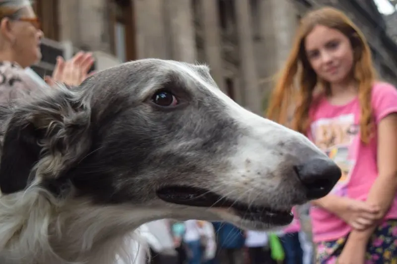 15138424 705331506284298 2944451409682231659 o