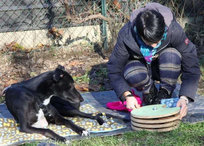 15170939 694532864051095 8220975075986098637 n