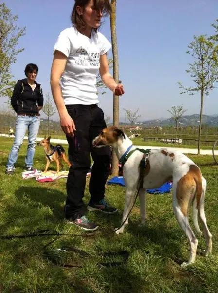 1517478 729196573799735 8012089010635939743 n