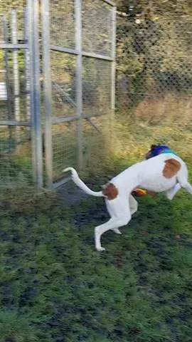 15175485 10209909762634265 348531338 n