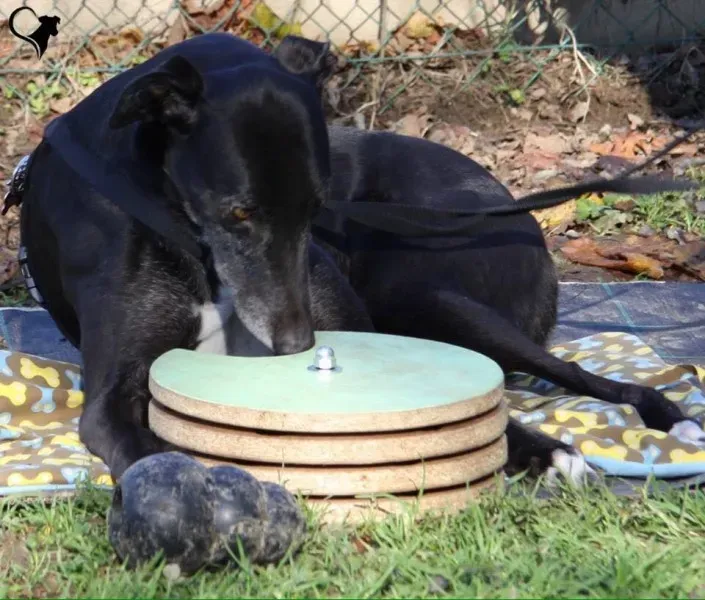 15178167 694532940717754 23136102513084430 n